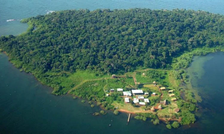 ngamba and ssese islands 2 days — Uganda safari (photo 2)